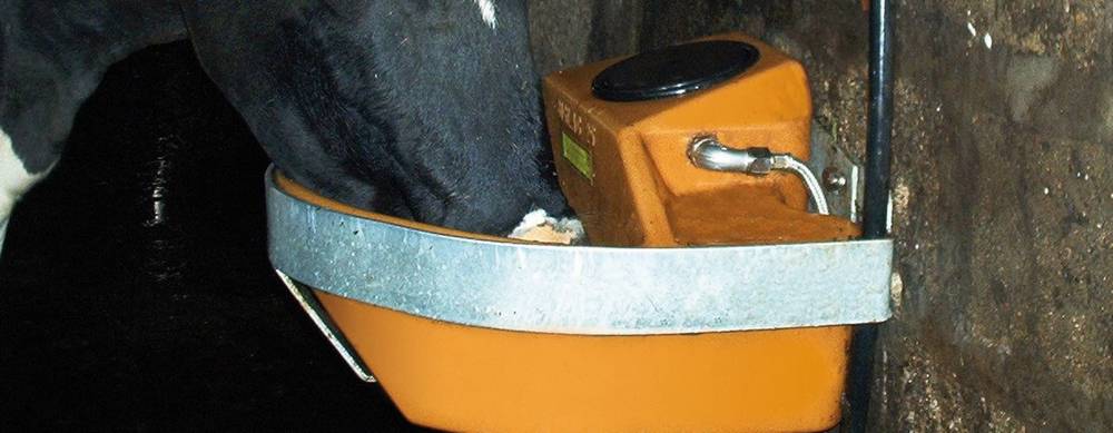 Accessoires abreuvoir Accessoires abreuvoir