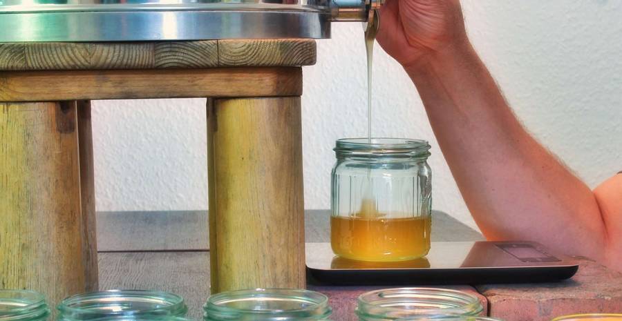 Maturateur Maturateur