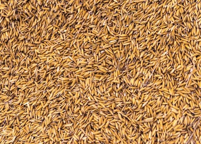 Valorisation des céréales Valorisation des céréales