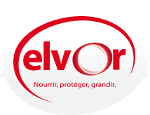 ELVOR