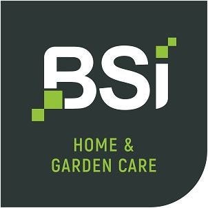 BSI