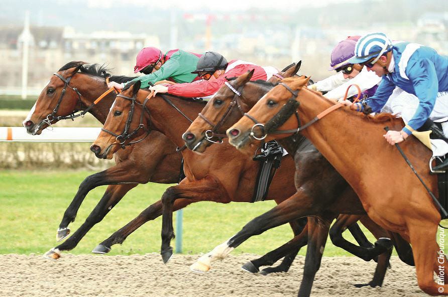 Chevaux et jockeys dans un hippodrome