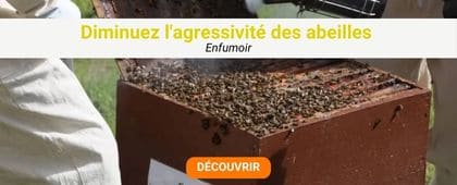 Ruche et abeilles