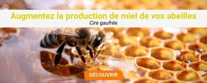 Abeille sur des alvéoles