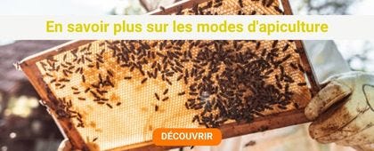 Cadre de ruche avec des abeilles