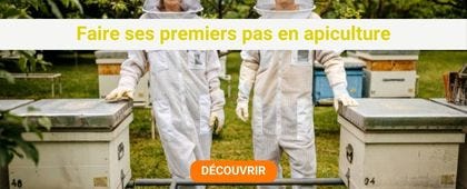 Apiculteurs au milieu des ruches