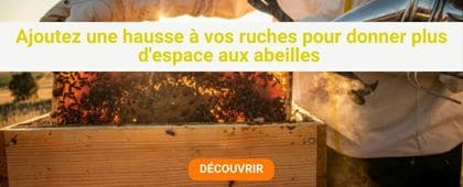 Apiculteur avec cadre et abeilles