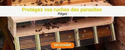 Entrée de ruche avec des abeilles