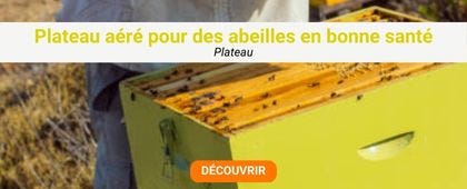 Ruche jaune avec des abeilles