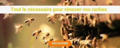 Abeilles qui volent 