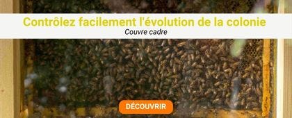 Cadre avec des abeilles