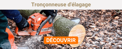 Tronçonneuse d'élagage