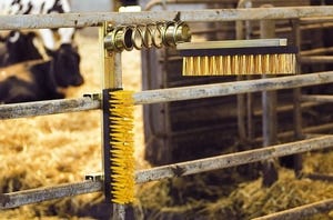 brosse étable bovins brosse étable