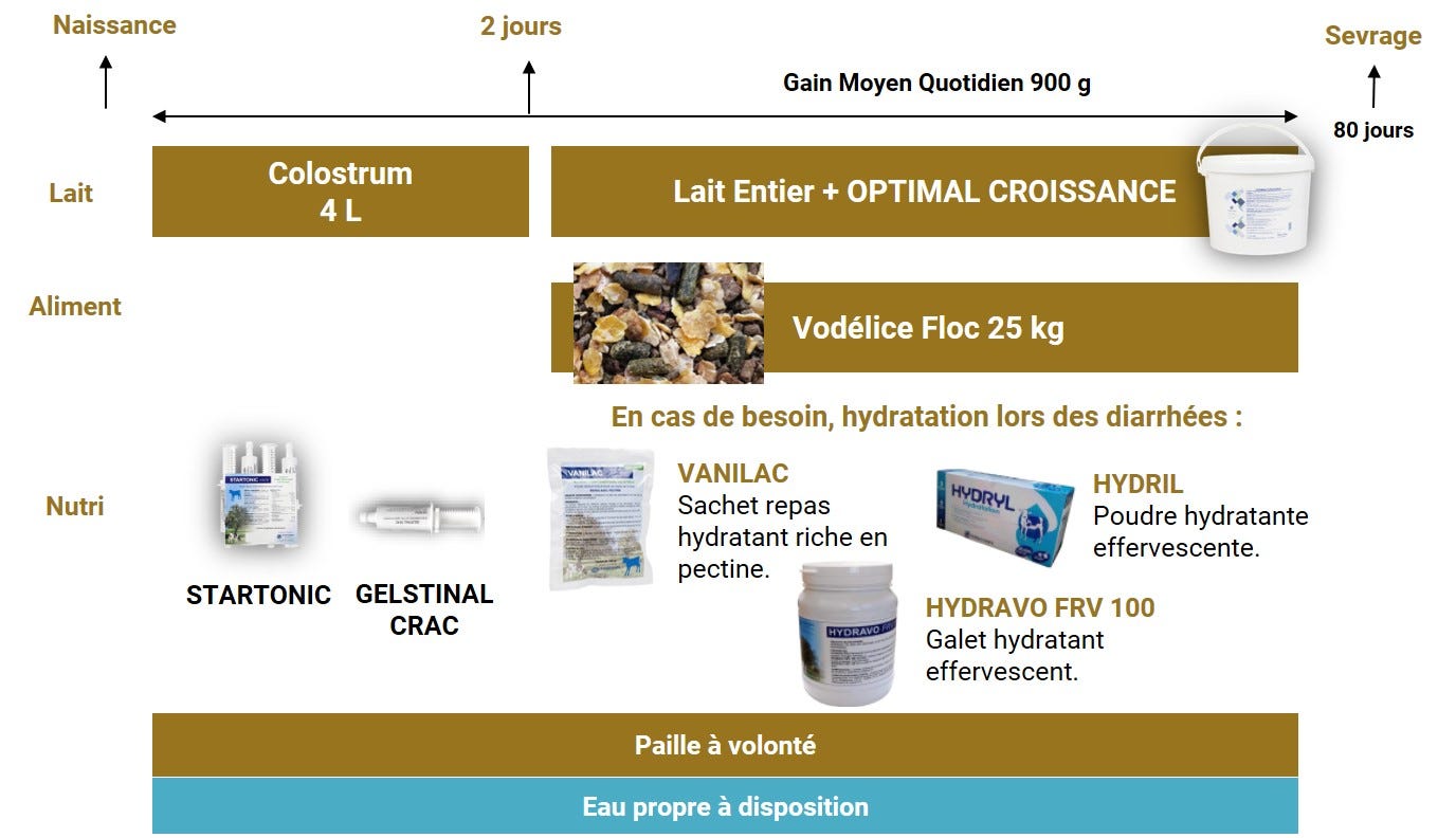 programme nutrition veau de la naissance au sevrage lait entier