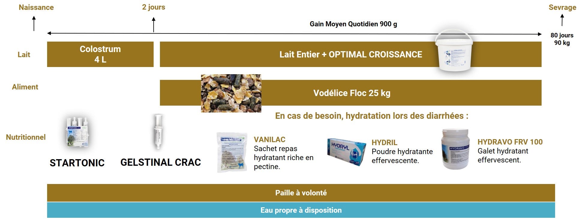 programme nutrition veau de la naissance au sevrage lait entier