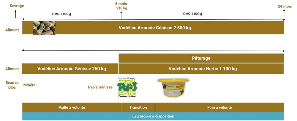 programme nutrition veau du sevrage au vêlage