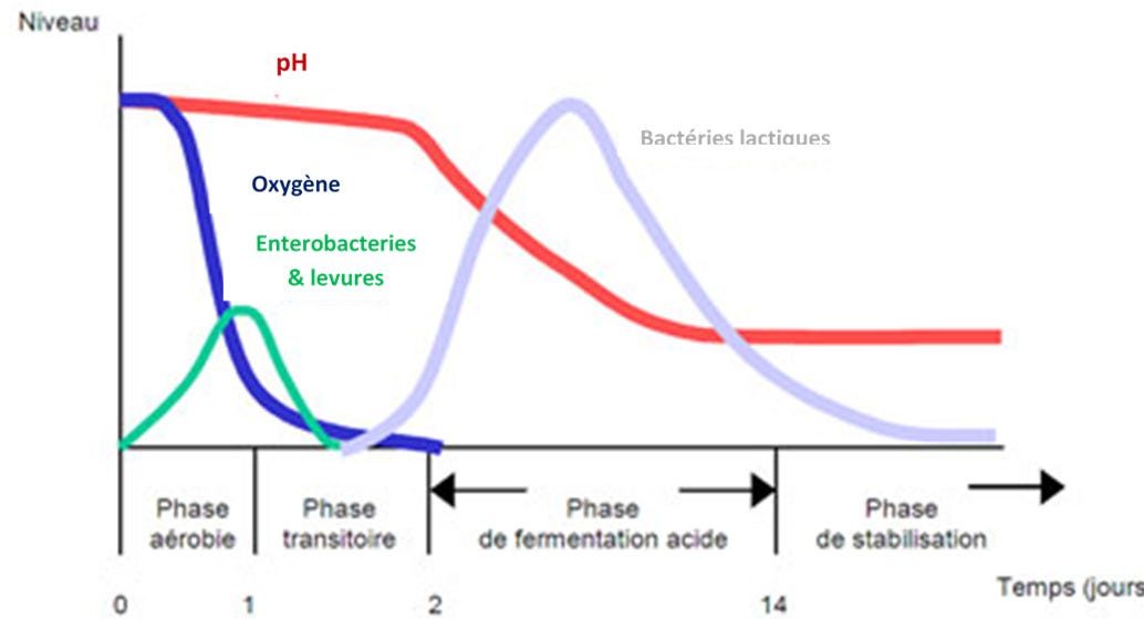 mauvaise acidification du stockage